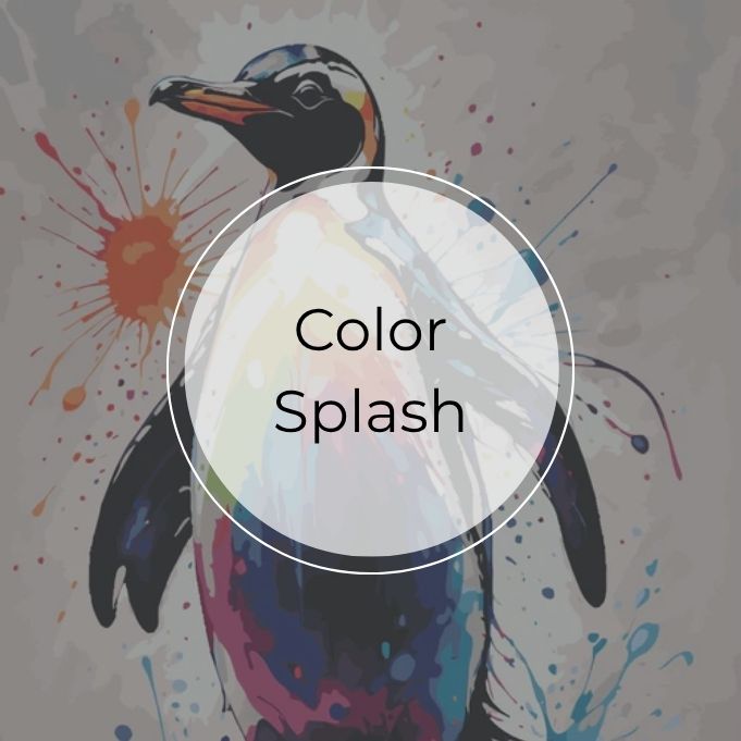 Color Splash