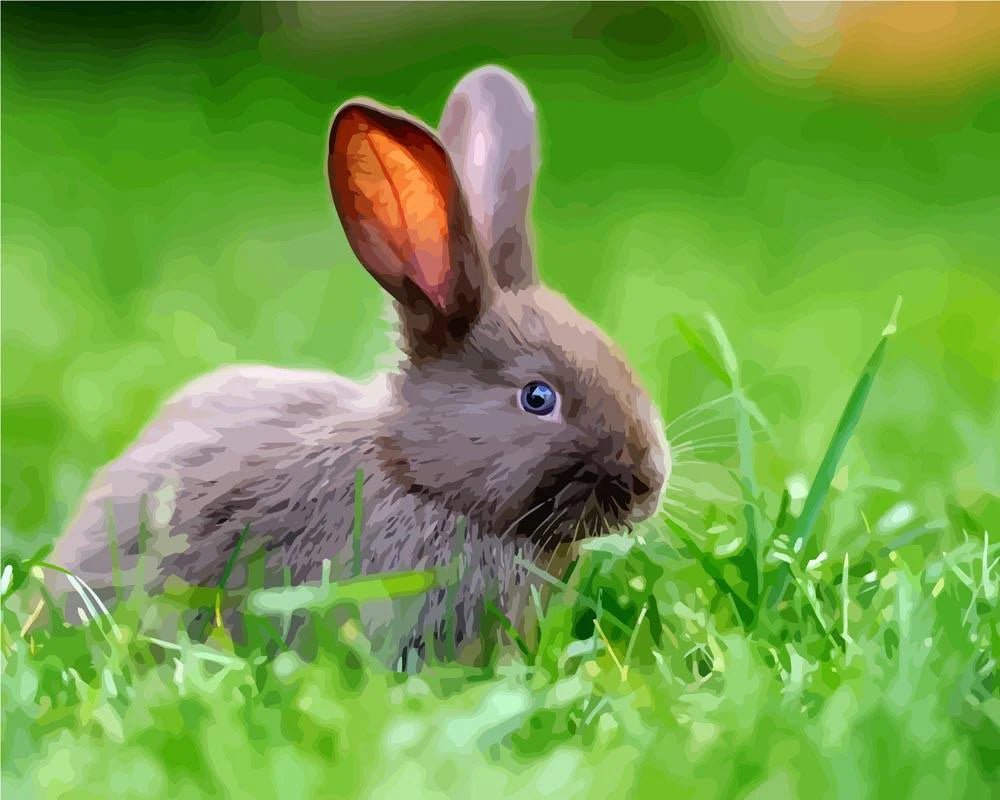 Malen nach Zahlen Hase