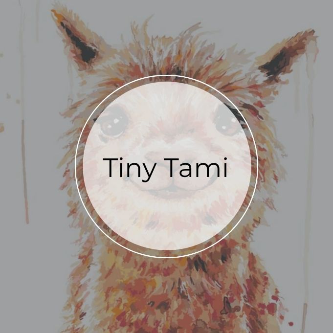 Tiny Tami Malen nach Zahlen