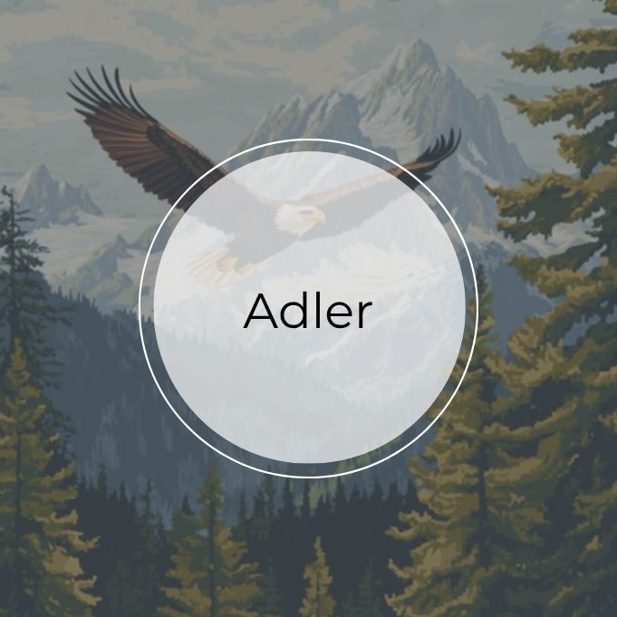 Malen nach Zahlen Adler