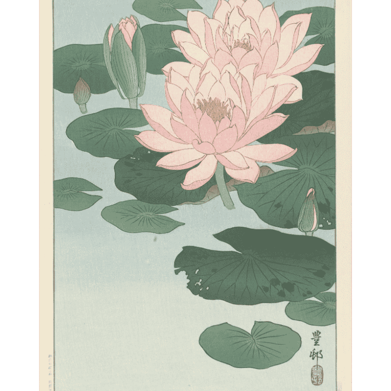 Malen nach Zahlen - Blühende Seerose - Ohara Koson-Malen nach zahlen