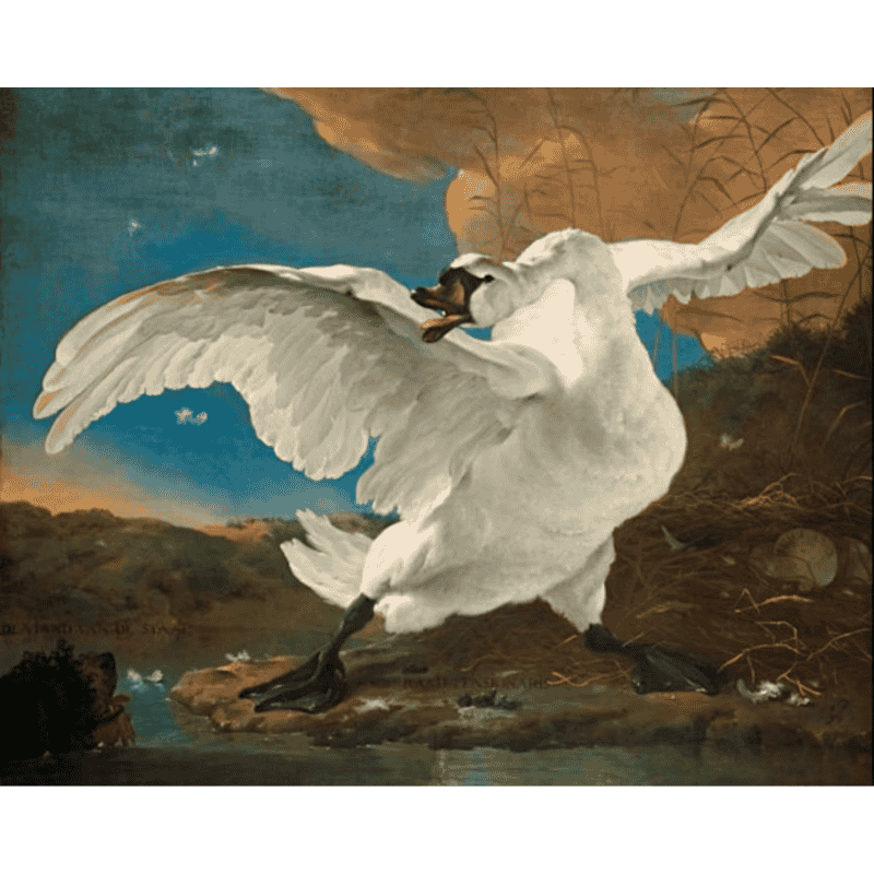 Malen nach Zahlen - Der bedrohte Schwan - Jan Asselijn-Malen nach zahlen