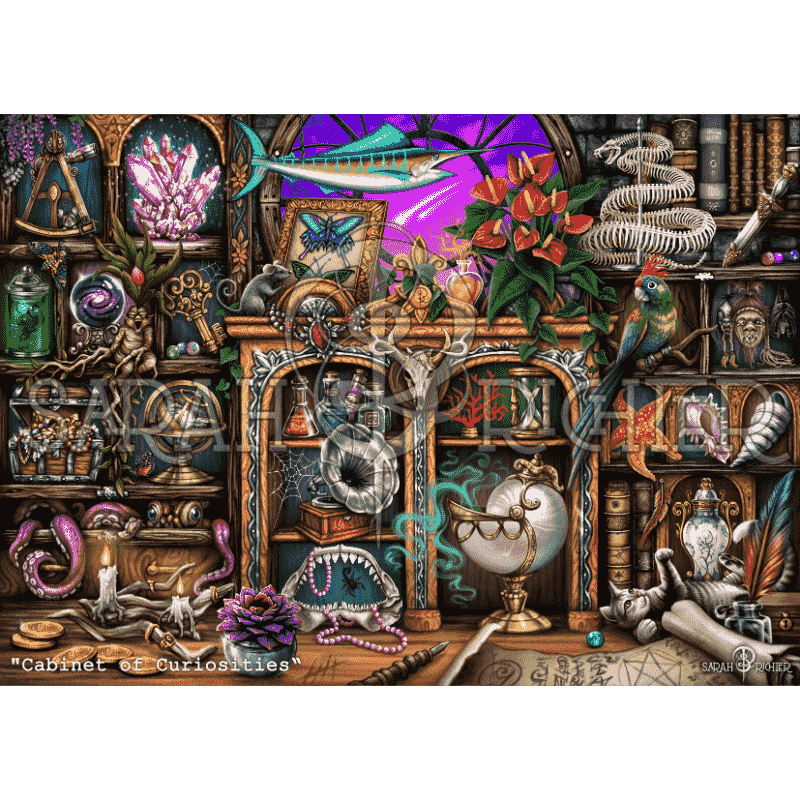 Malen nach Zahlen - Cabinet of Curiosities - by Sarah Richter-Malen nach zahlen