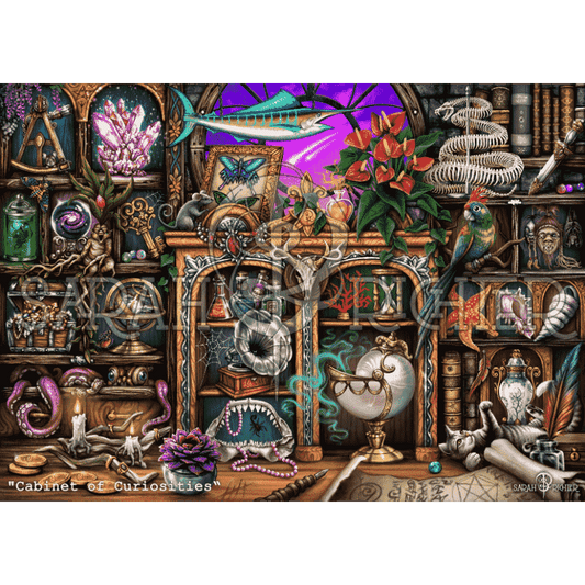 Malen nach Zahlen - Cabinet of Curiosities - by Sarah Richter-Malen nach zahlen