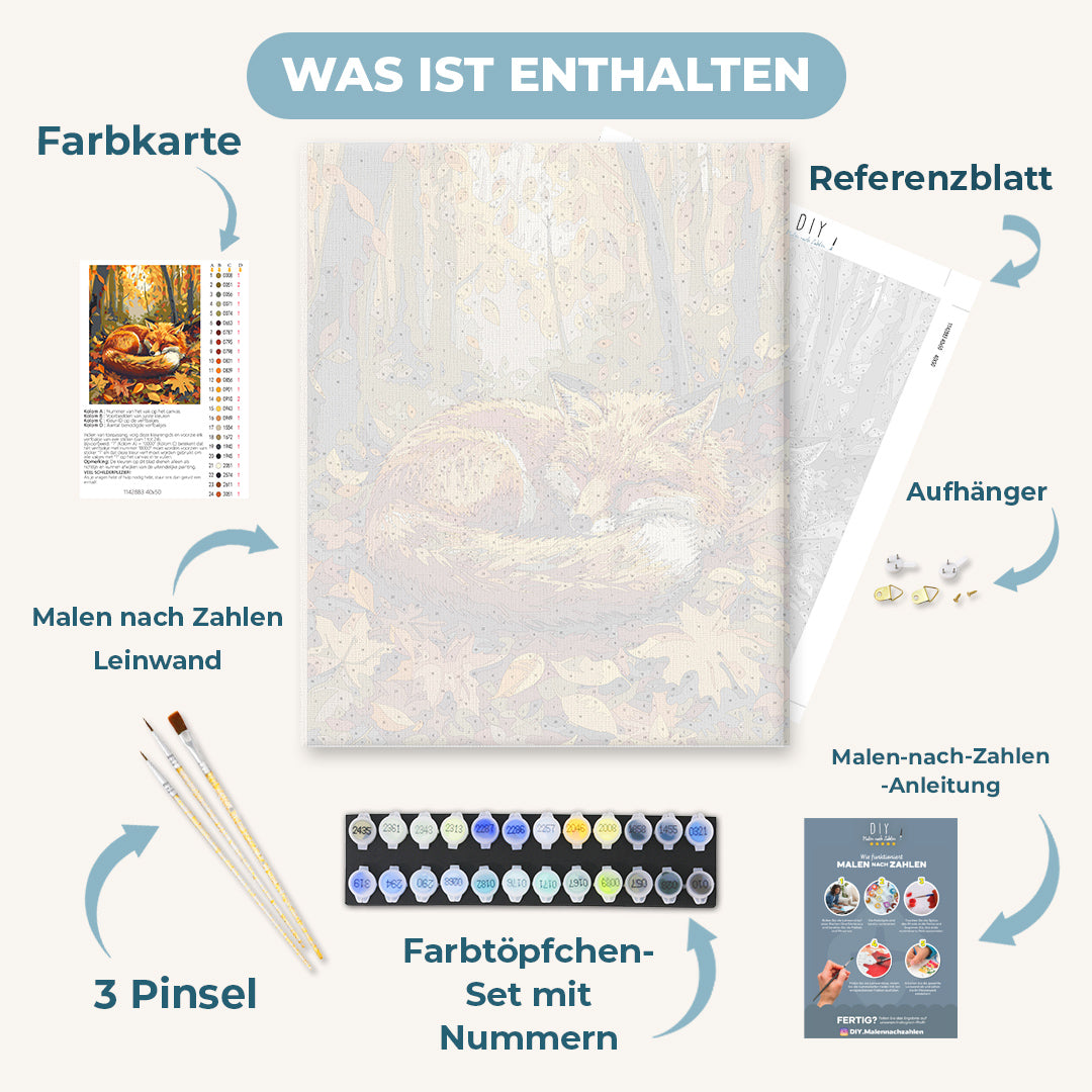 Malen nach Zahlen - Schlafender Fuchs