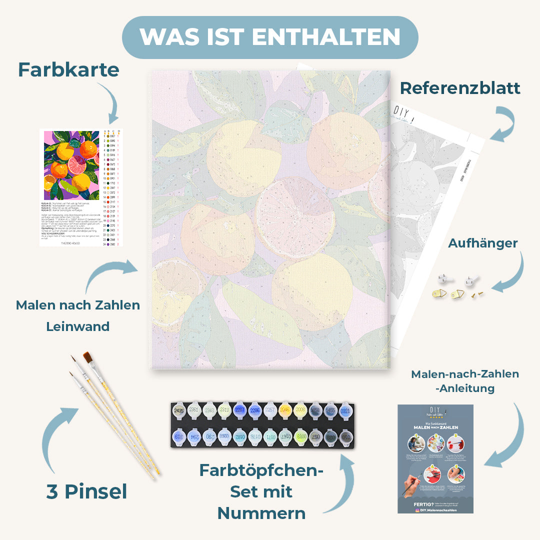 Malen nach Zahlen - Bunte Zitrusfrüchte
