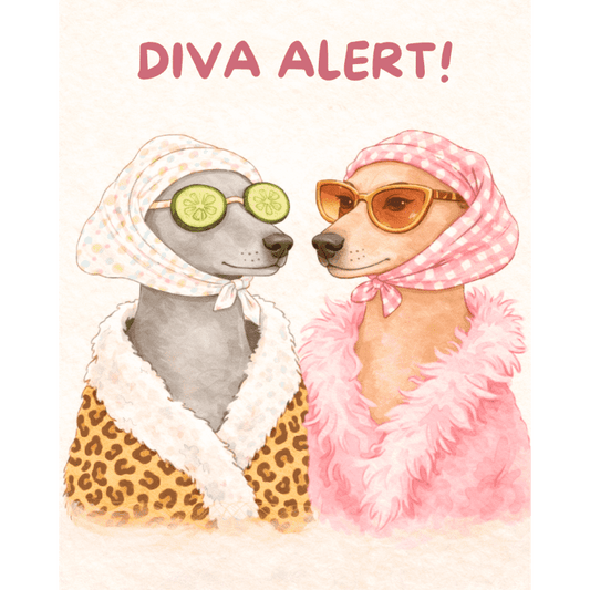 Malen nach Zahlen - Diva-Alarm-Malen nach zahlen