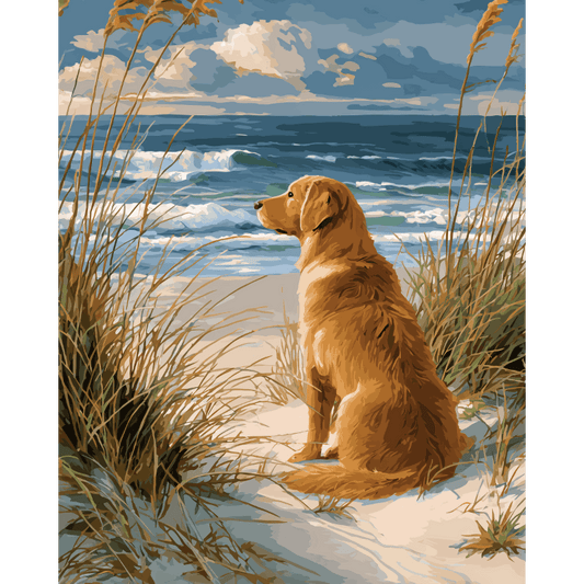 Malen nach Zahlen - Wartender Labrador-Malen nach zahlen