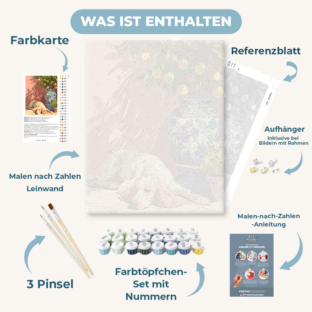 Malen nach Zahlen - Siesta