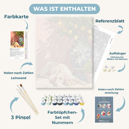 Malen nach Zahlen - Siesta