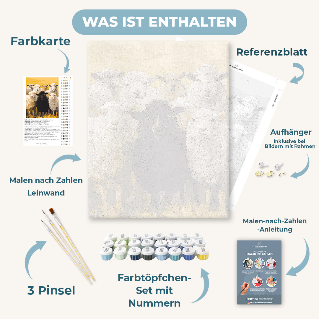 Malen nach Zahlen - Schwarzes Schaf