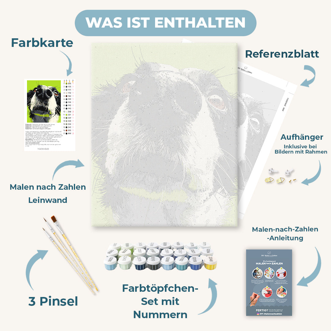 Malen nach Zahlen - Schnüffelmodus