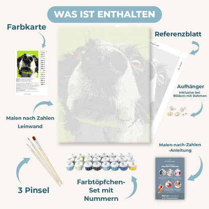 Malen nach Zahlen - Schnüffelmodus