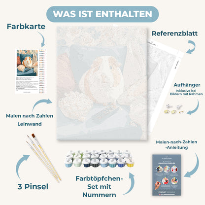 Malen nach Zahlen - Filmabend-Freund