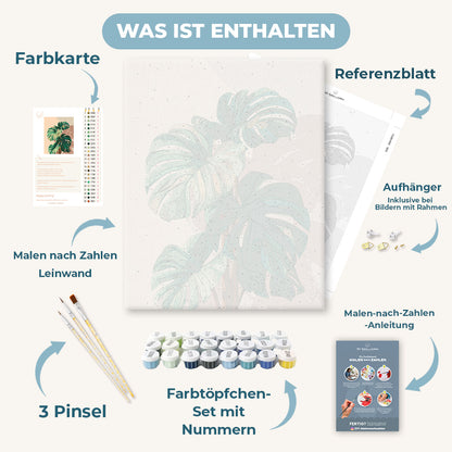 Malen nach Zahlen - Monstera-Schatten