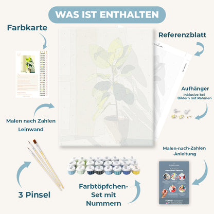Malen nach Zahlen - Sonnenbeschienener Ficus