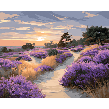 Malen nach Zahlen - Nationalpark De Hoge Veluwe - Malen nach Zahlen