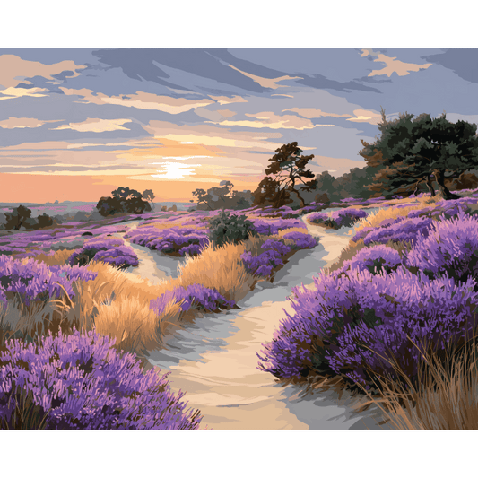 Malen nach Zahlen - Nationalpark De Hoge Veluwe - Malen nach Zahlen
