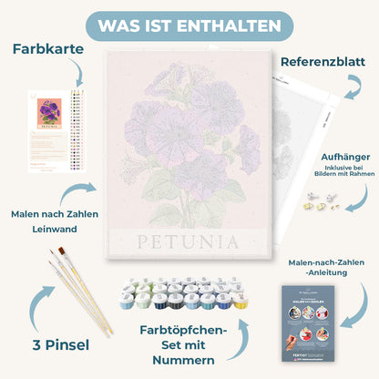 Malen nach Zahlen - Petunie