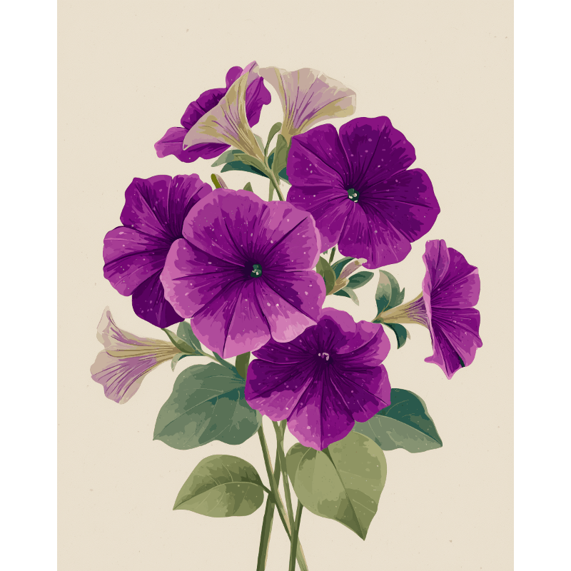Malen nach Zahlen - Velvet Petunias - Malen nach Zahlen