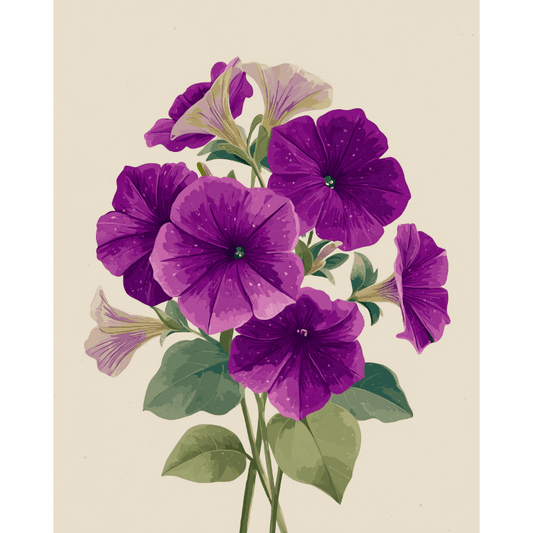 Malen nach Zahlen - Velvet Petunias - Malen nach Zahlen