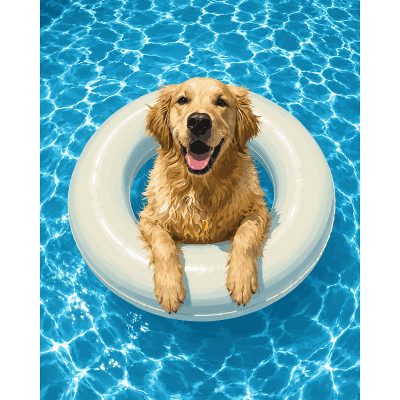 Malen nach Zahlen - Golden Retriever beim Schwimmen - Malen nach Zahlen
