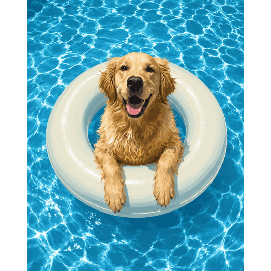 Malen nach Zahlen - Golden Retriever beim Schwimmen - Malen nach Zahlen