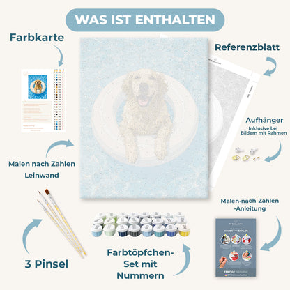 Malen nach Zahlen - Golden Retriever beim Schwimmen