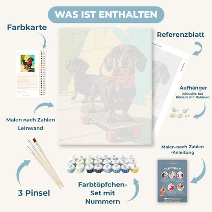 Malen nach Zahlen - Skater-Dackel