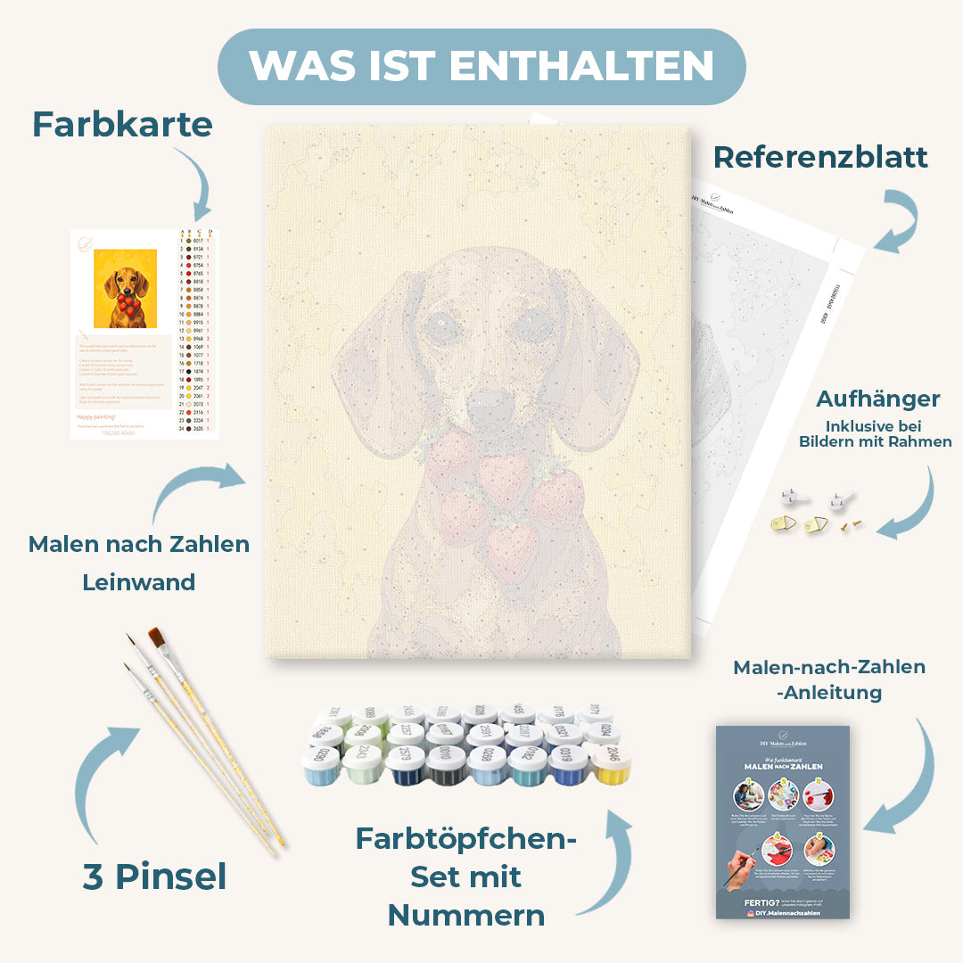 Malen nach Zahlen - Erdbeer-Dackel