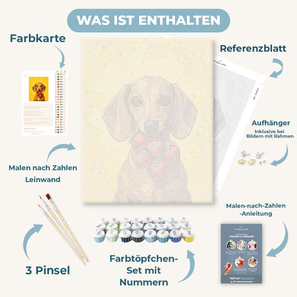 Malen nach Zahlen - Erdbeer-Dackel