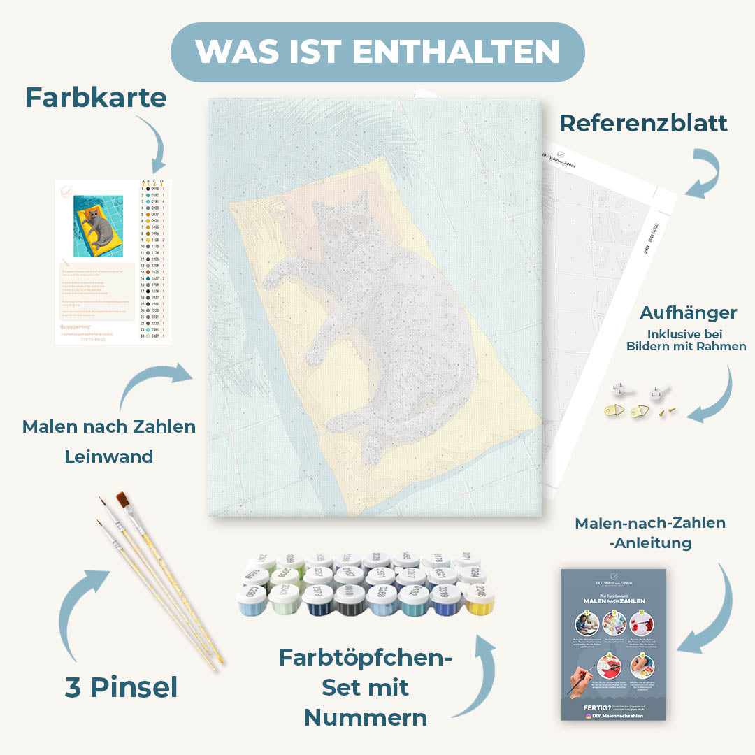 Malen nach Zahlen - Graue Katze am Pool