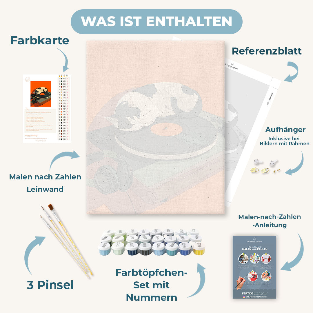 Malen nach Zahlen - Vinyl Träume