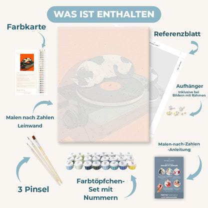 Malen nach Zahlen - Vinyl Träume