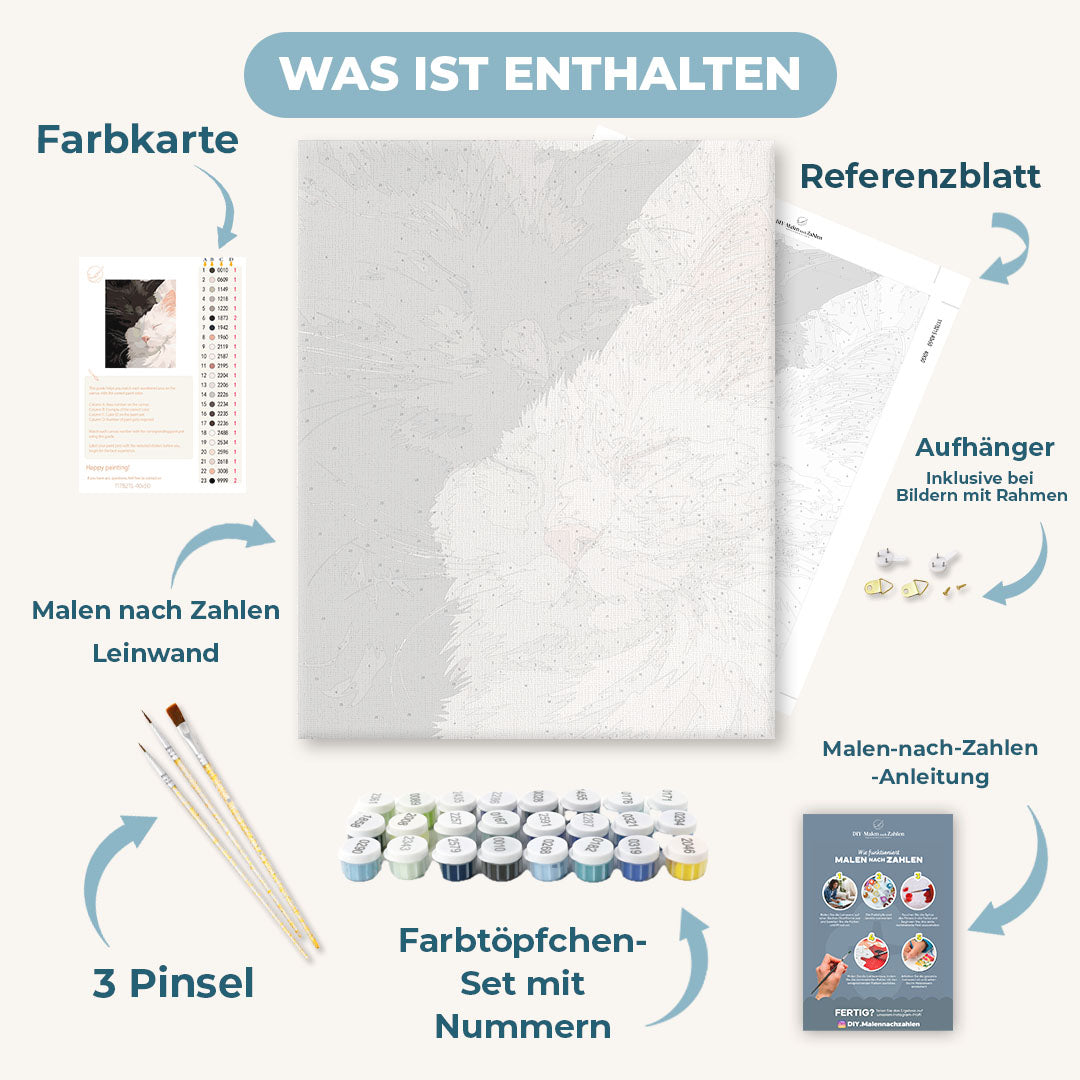 Malen nach Zahlen - Schwarz & Weiß Samt