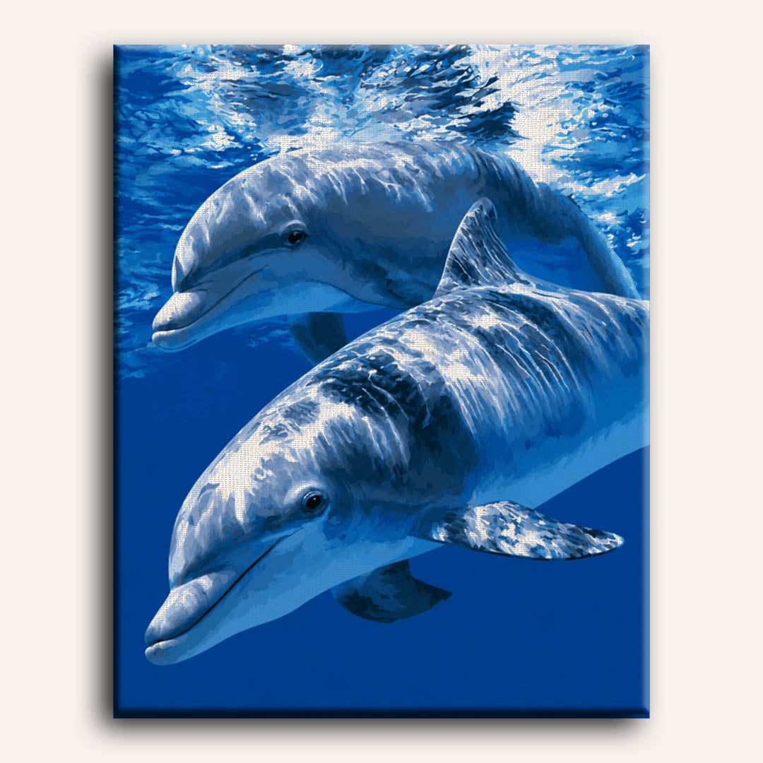 Malen nach Zahlen - Delfin-Harmonie