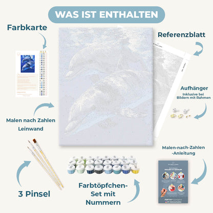 Malen nach Zahlen - Delfin-Harmonie