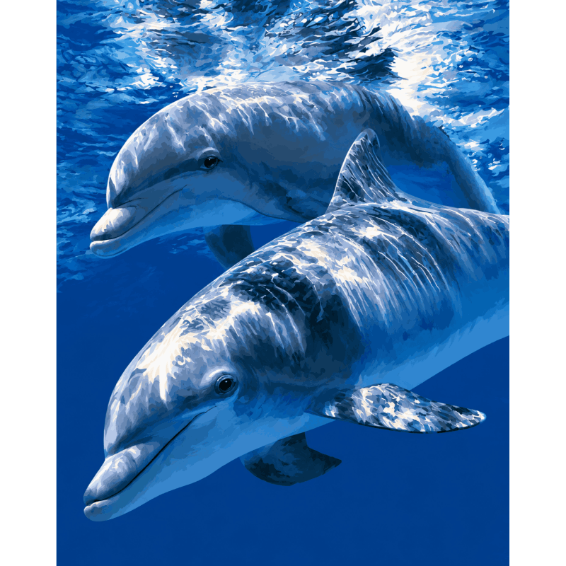 Malen nach Zahlen - Delfin-Harmonie - Malen nach Zahlen