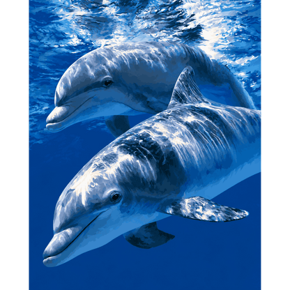 Malen nach Zahlen - Delfin-Harmonie - Malen nach Zahlen