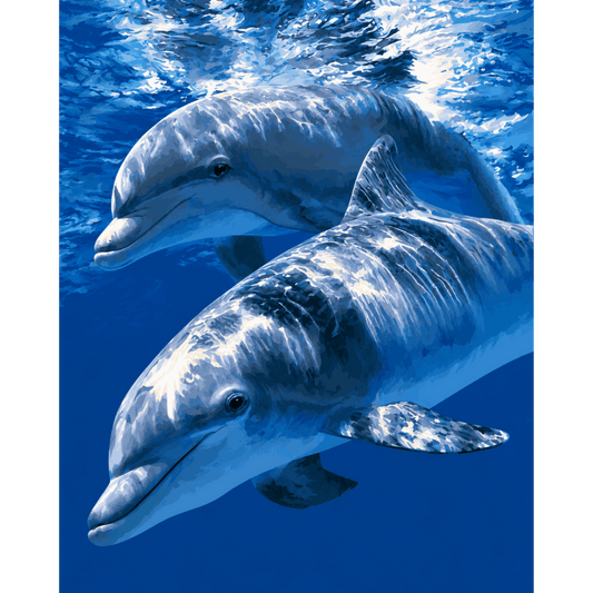 Malen nach Zahlen - Delfin-Harmonie - Malen nach Zahlen
