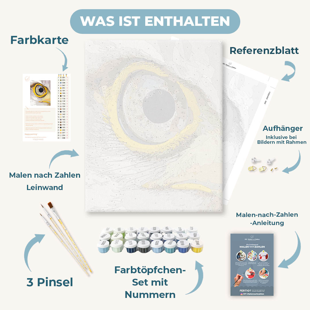 Malen nach Zahlen - Adlerauge