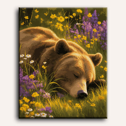 Malen nach Zahlen - Schläfriger Grizzly