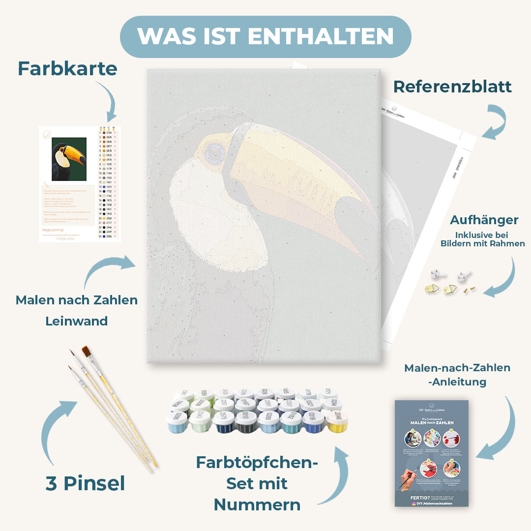 Malen nach Zahlen - Tukan Porträt