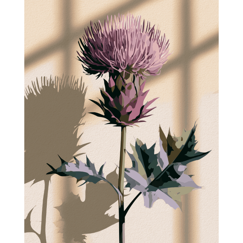 Malen nach Zahlen - Schottische Distel - Malen nach Zahlen