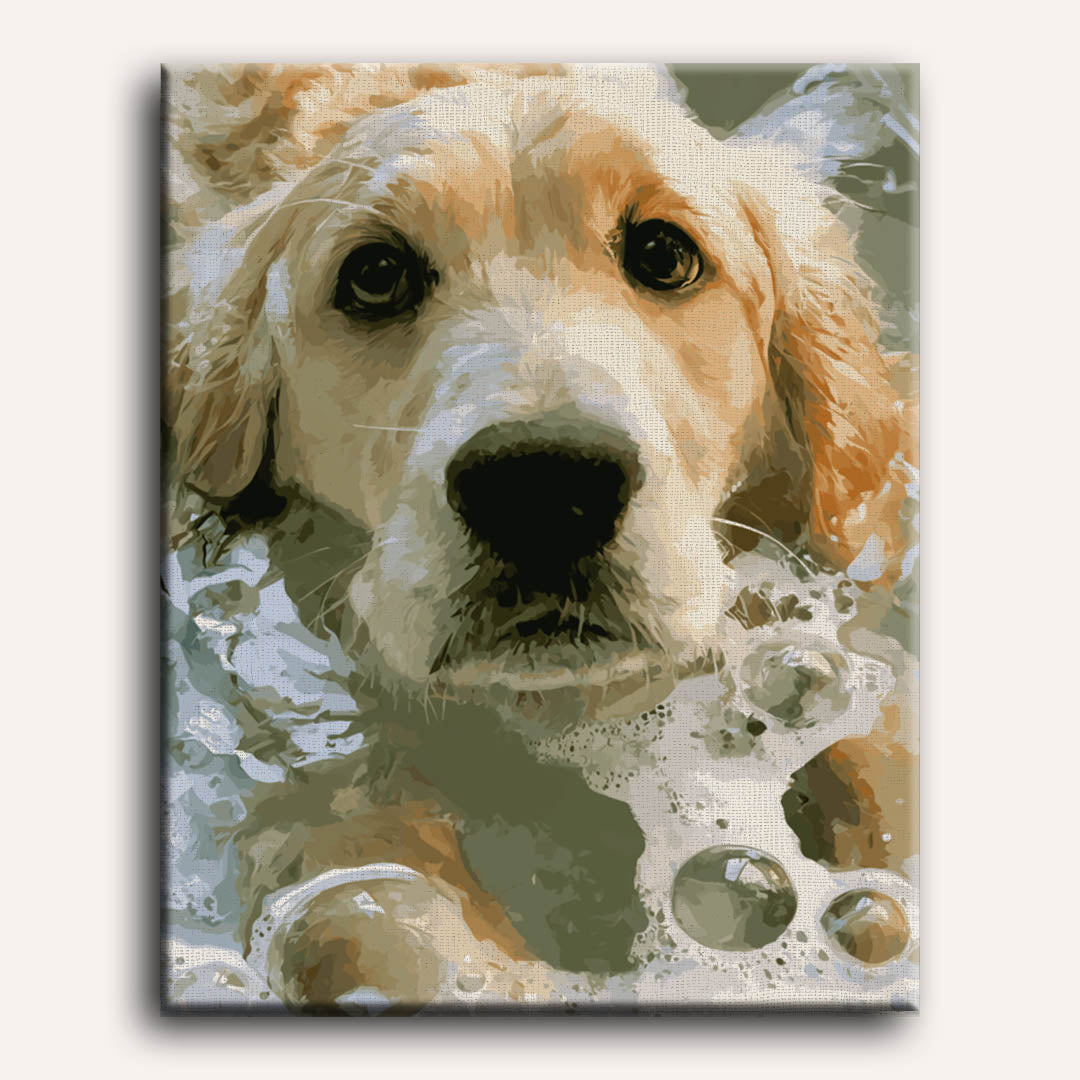 Malen nach Zahlen - Seifiger Retriever