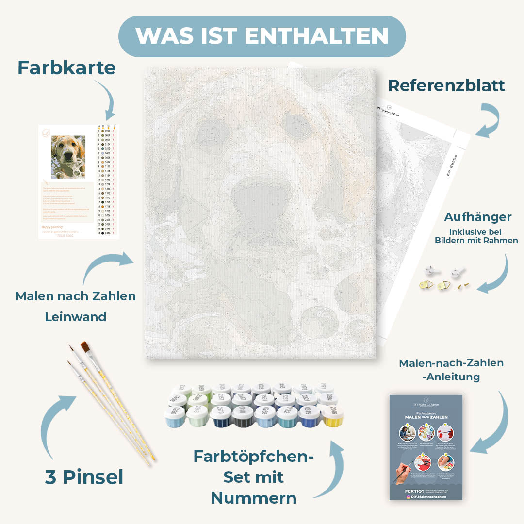 Malen nach Zahlen - Seifiger Retriever