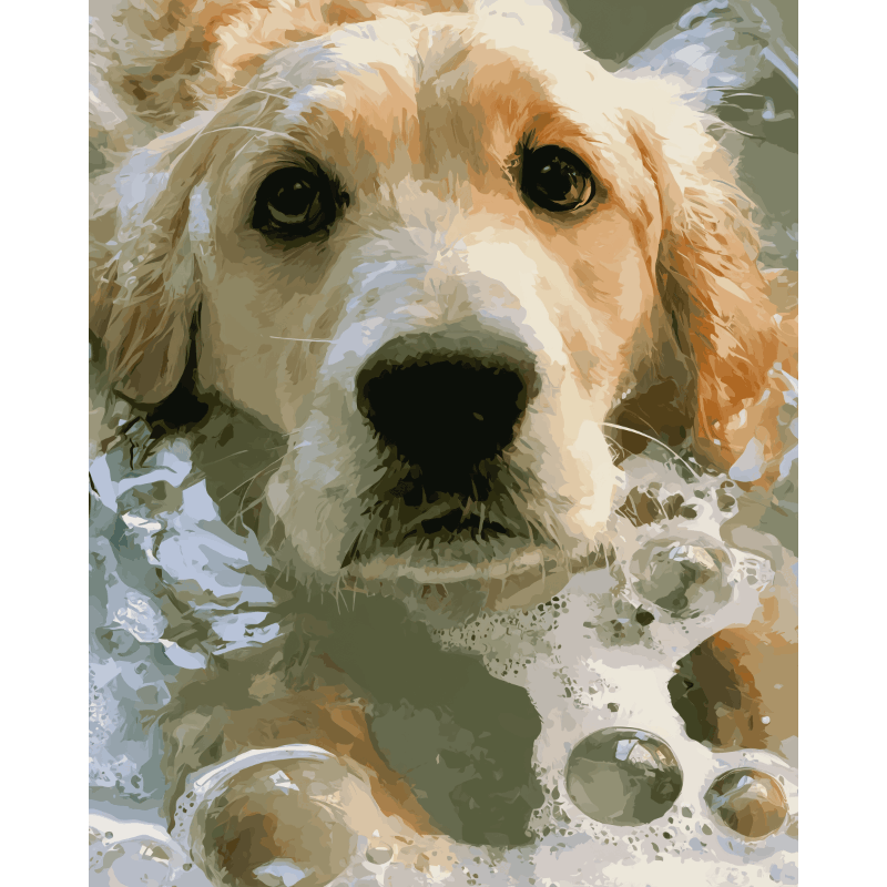 Malen nach Zahlen - Seifiger Retriever - Malen nach Zahlen