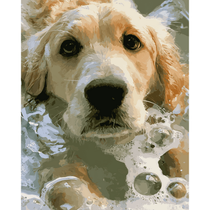 Malen nach Zahlen - Seifiger Retriever - Malen nach Zahlen
