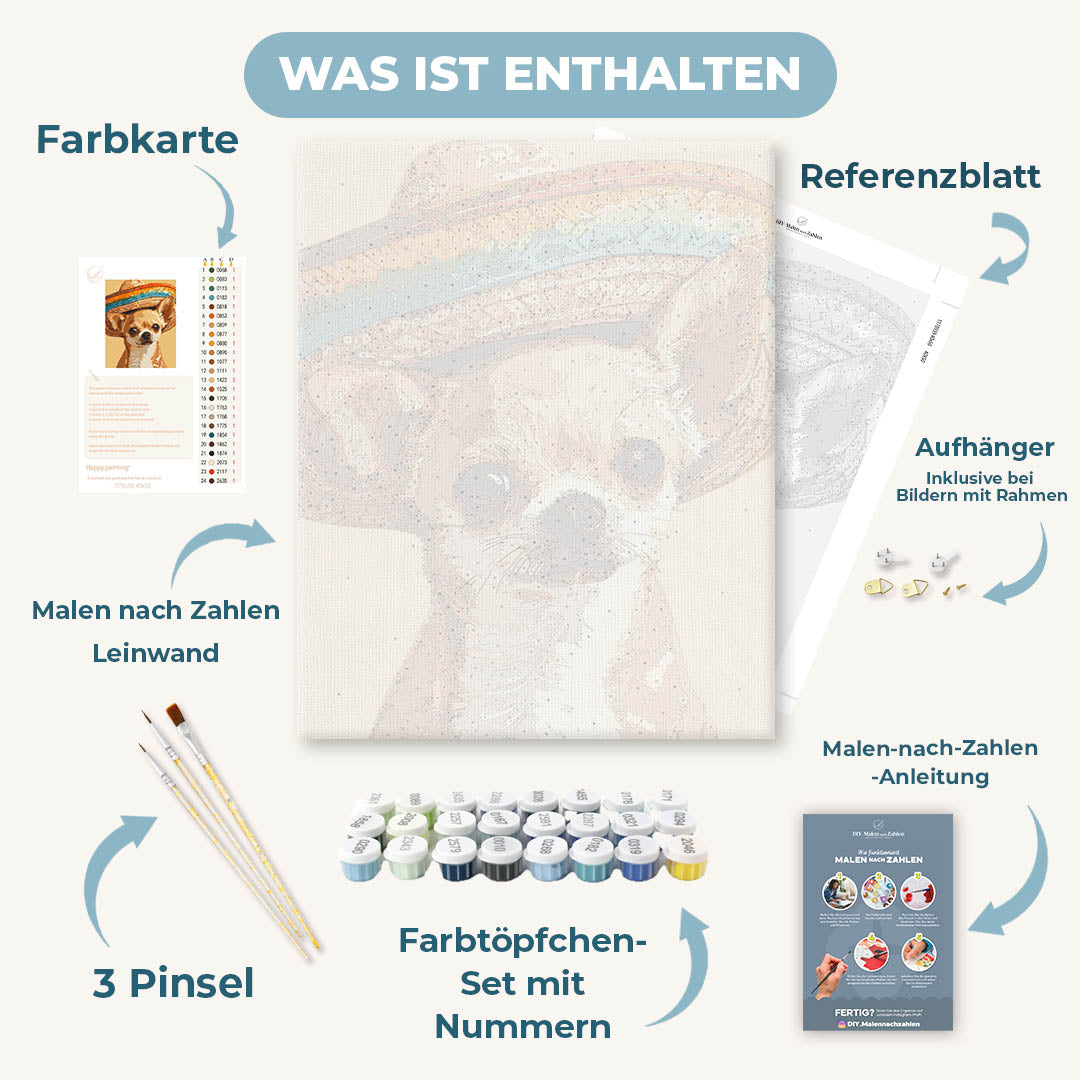 Malen nach Zahlen - Fiesta Chihuahua