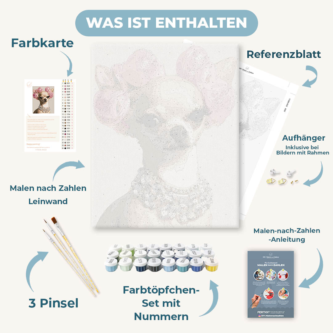Malen nach Zahlen - Chihuahua Diva